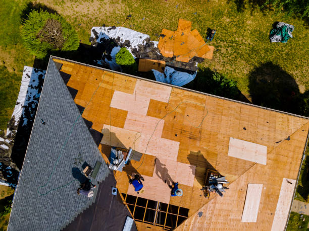 Best Gutter Installation and Roofing  in Hastings, MI