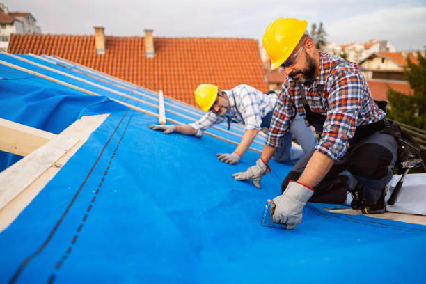 Best Best Roofing Contractors  in Hastings, MI