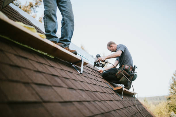 Quick and Trustworthy Emergency Roof Repair Services in Hastings, MI